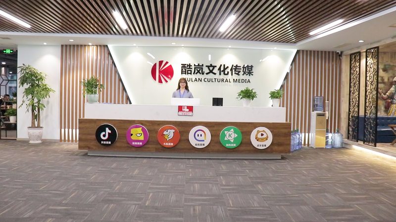 纪录片拍摄报价：揭秘影响价格的关键因素